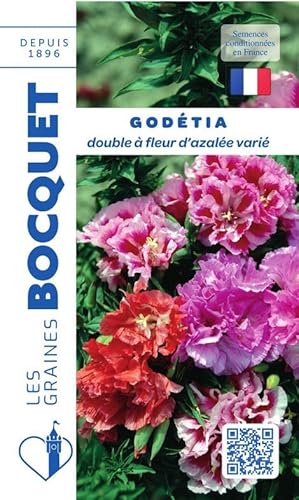 Sachet de graines de Godétia double à fleur d'azalée varié - 1,5 g - fleur annuelle - LES GRAINES BOCQUET
