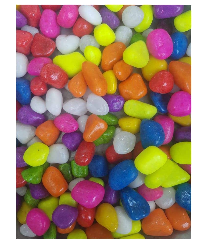 Afast Multicolor Pabbles/Stone for Garden, Plants, Aquarium & Home Decor, Marvels, Decoration, Fish Aquarium, Vase Filler, 0.5 KG -AAAW1 (B0BSV9GMV3) Amazon Price History, Amazon Price Tracker