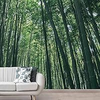 Wall Mural Forest in Fog Removable Self-Adhesive Wallpaper Wall Decoration for Bedroom Living Room - 66x96 inches