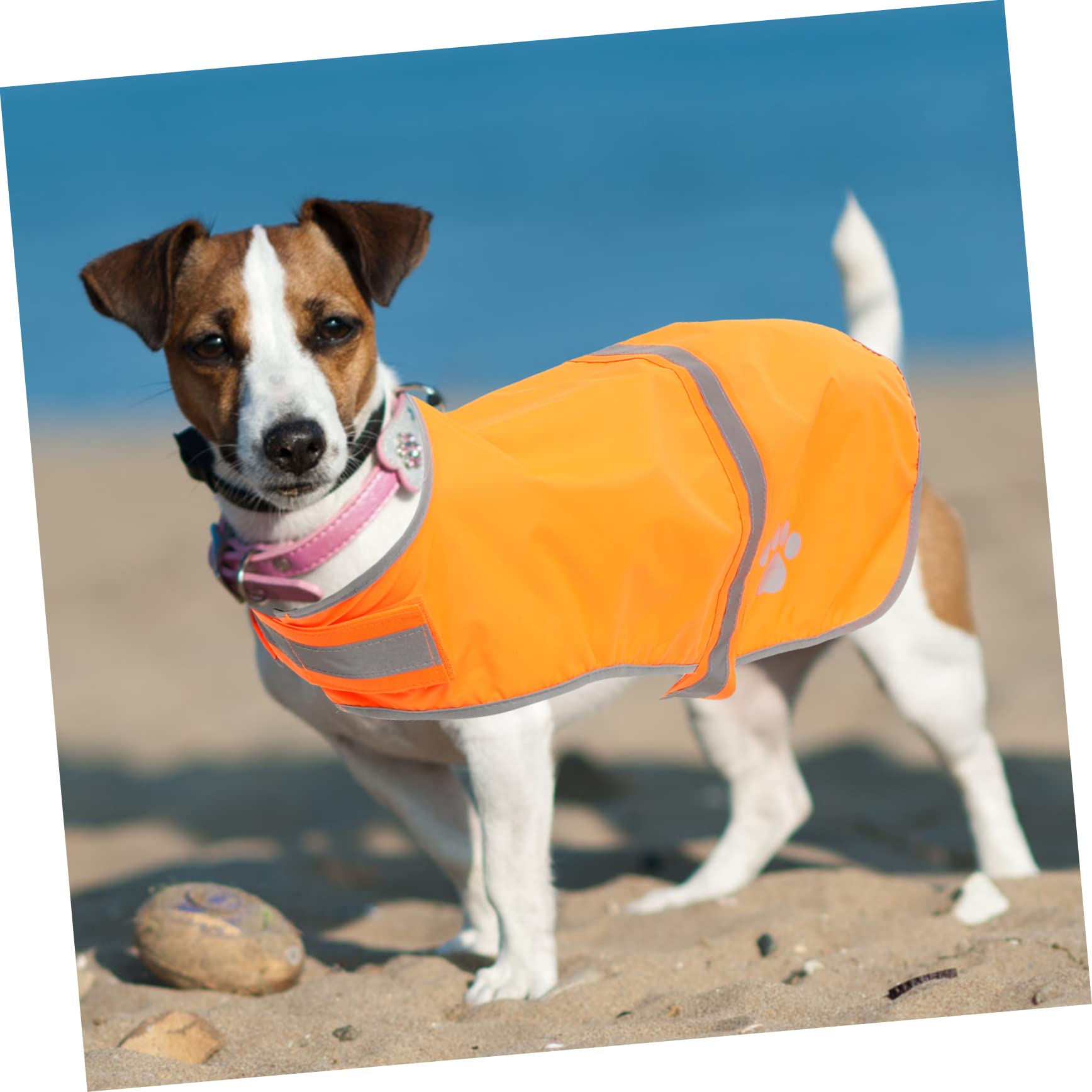 Sosoport 5stücke Hundeweste Reflektierend Fluoreszierende Warnweste Für Hunde Verstellbar Aus Atmungsaktivem Oxford Outdoor-aktivitäten Sicheres Und Stylisches Hundezubehör