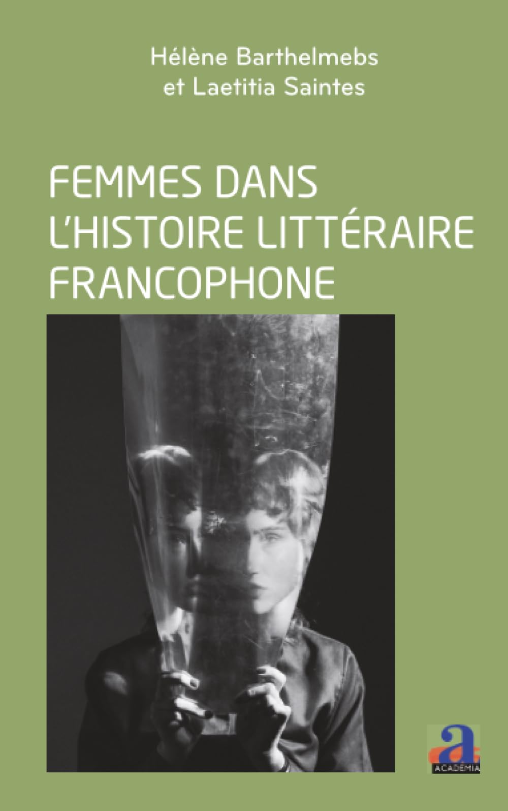 Femmes dans l'histoire littéraire francophone: Enjeux et perspectives