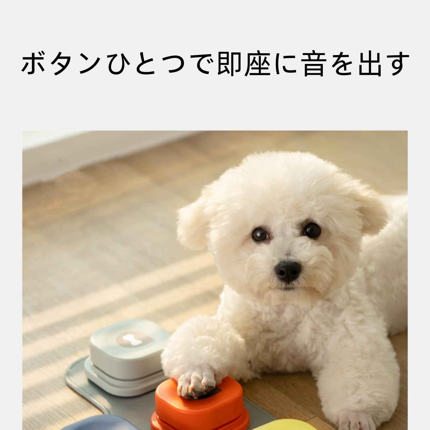 犬用 会話ボタン 音声ボタン ベル コミュニケーション しつけ訓練 ペット 楽天市場】犬用 録音ボタン 会話ボタン 音声ボタン ベル