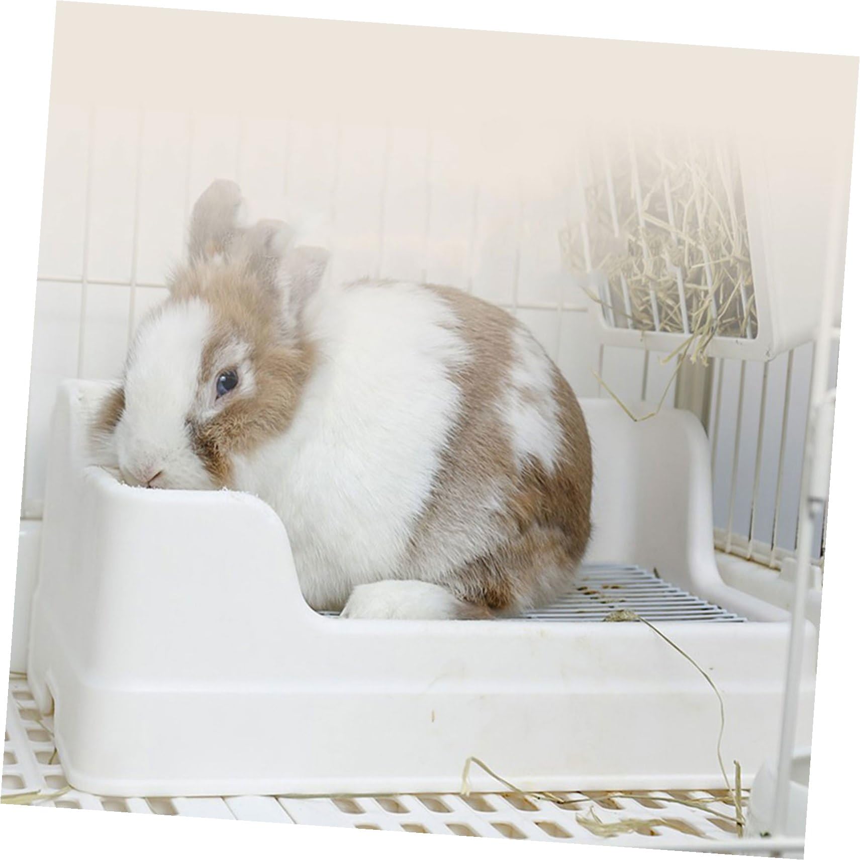 VALICLUD Toilette per Coniglietti e Criceti Vasino Angolare Smontabile, Lettiera per Gabbia Design Anticaduta, Materiale Riutilizzabile e Facile da Pulire per Addestramento Piccoli Animali