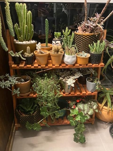Organizador para Plantas Vasos Floreira Prateleira 70x70 Sapateira Decoração