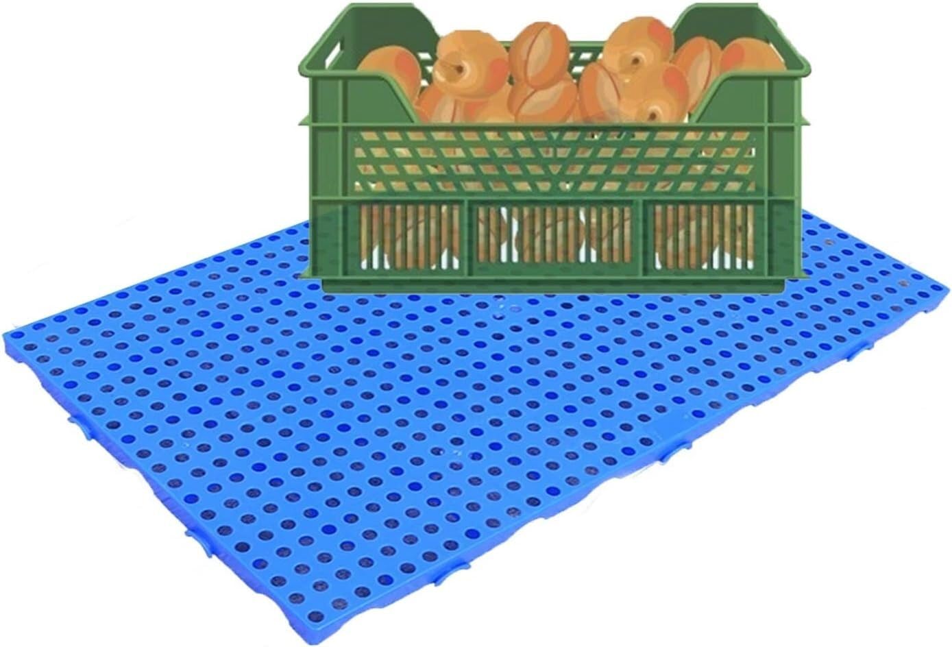 HynJGih MekUk Plastic Pallets Plastic Tray, Lightweight Nestable Blue Polyethylene Tray, Moisture Resistant Floor Tray for Dining Kitchens, Shops for Kennel, Garden, Basement, Patio(100x80x10cm)