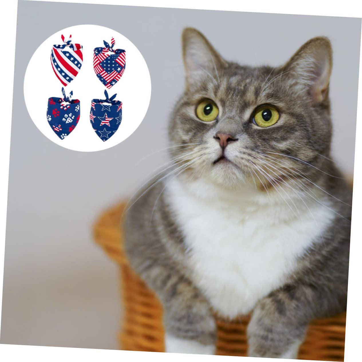 BESPORTBLE 20pièces Bandanas Triangulaires Festifs pour Animaux De Compagnie Écharpes Élégantes pour Chiens Et pour Jour De Indépendance