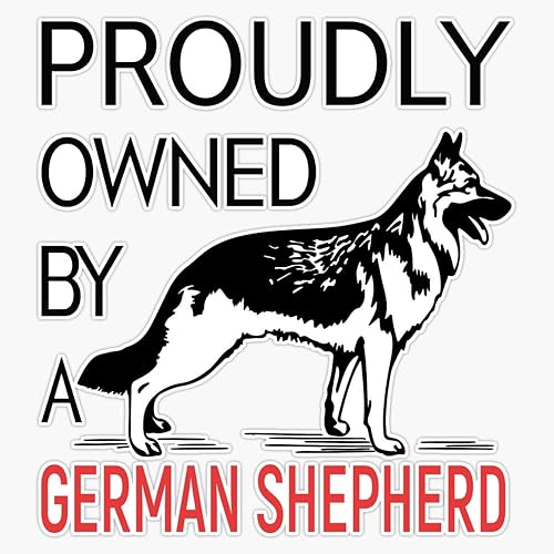 Orgullosamente propiedad de un pastor alemán, calcomanĂa de vinilo para laptop, impermeable, 5 pulgadas Orgullosamente propiedad de un pastor alemán, calcomanĂa de vinilo para laptop, impermeable, 5 pulgadas