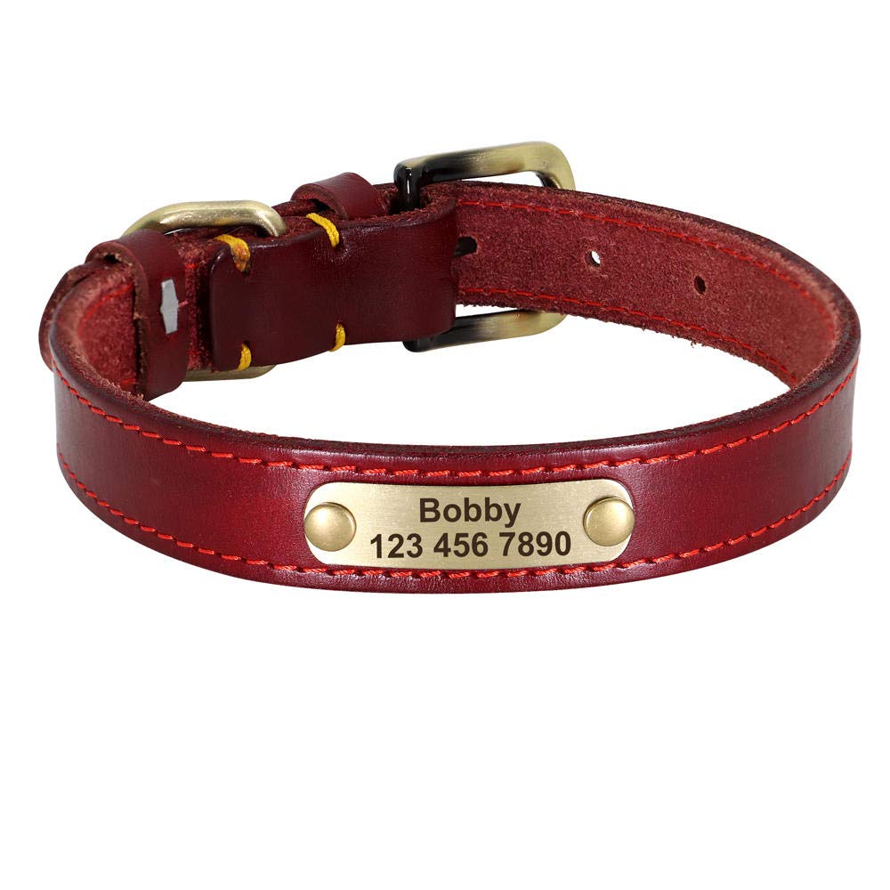 LYVQZPWLRIl Cane Porta, Guinzagli for Animali Domestici, Collare in Pelle Personalizzato for Cani, Fibbia in Pelle Dorata, Collare identificativo for Animali Domestici(Red,XS)