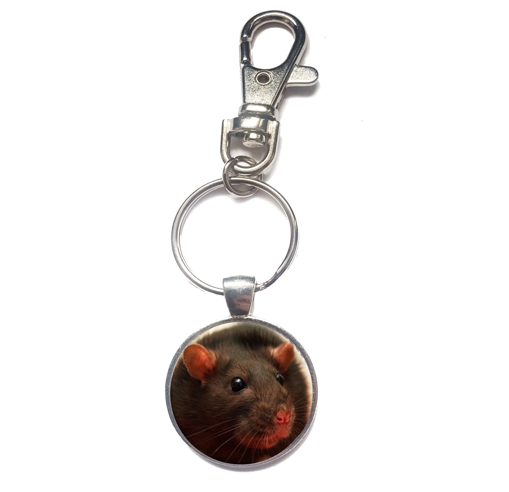GenericPersonalised Photo Rat Keyring Spring Hook Key Chain Birthday Gift