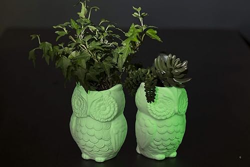 Miniatura 6 de Rust-Oleum 214945 Pintura con brocha que brilla en la oscuridad, media pinta, verde, 7 onzas líquidas (paquete de 1)