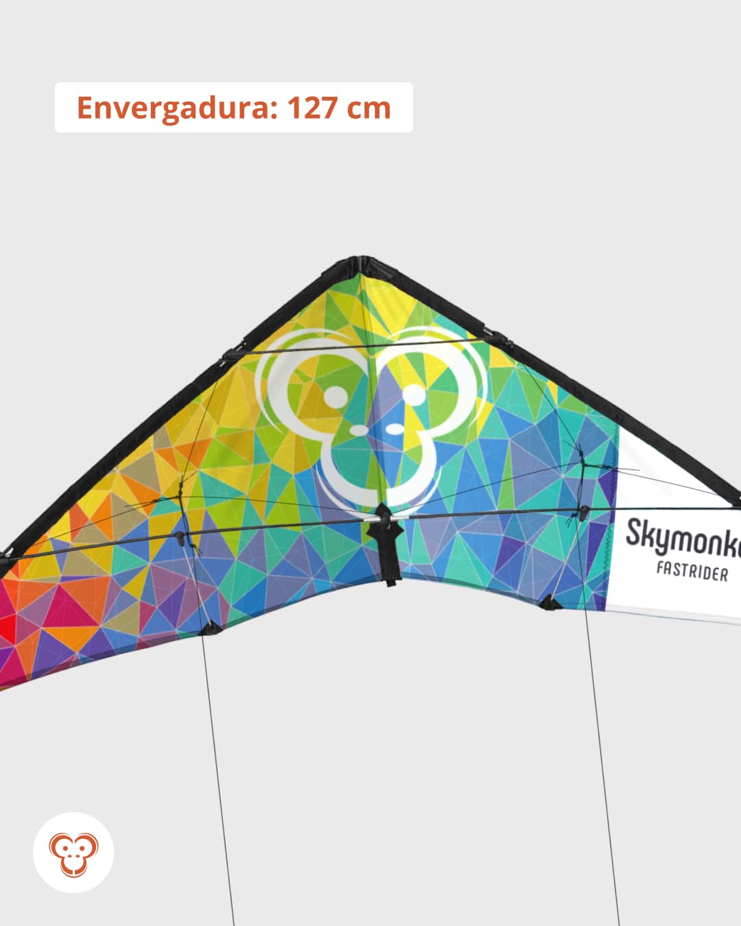 Skymonkey Fastrider Cometa acrobática para Adolescentes y Adultos, Cometa acrobática de 2 líneas, envergadura: 127cm - Rainbow