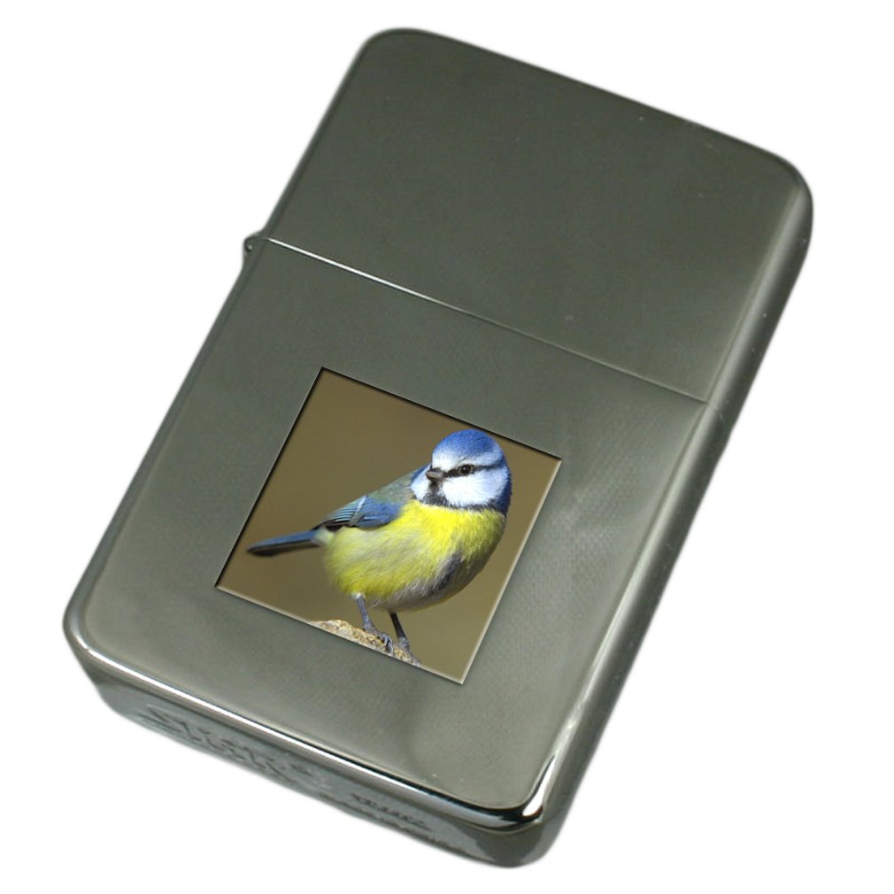 Ornement Oiseau Mésange Charles Sadek - Neuf Dans Sa Boîte - Décoration Murale