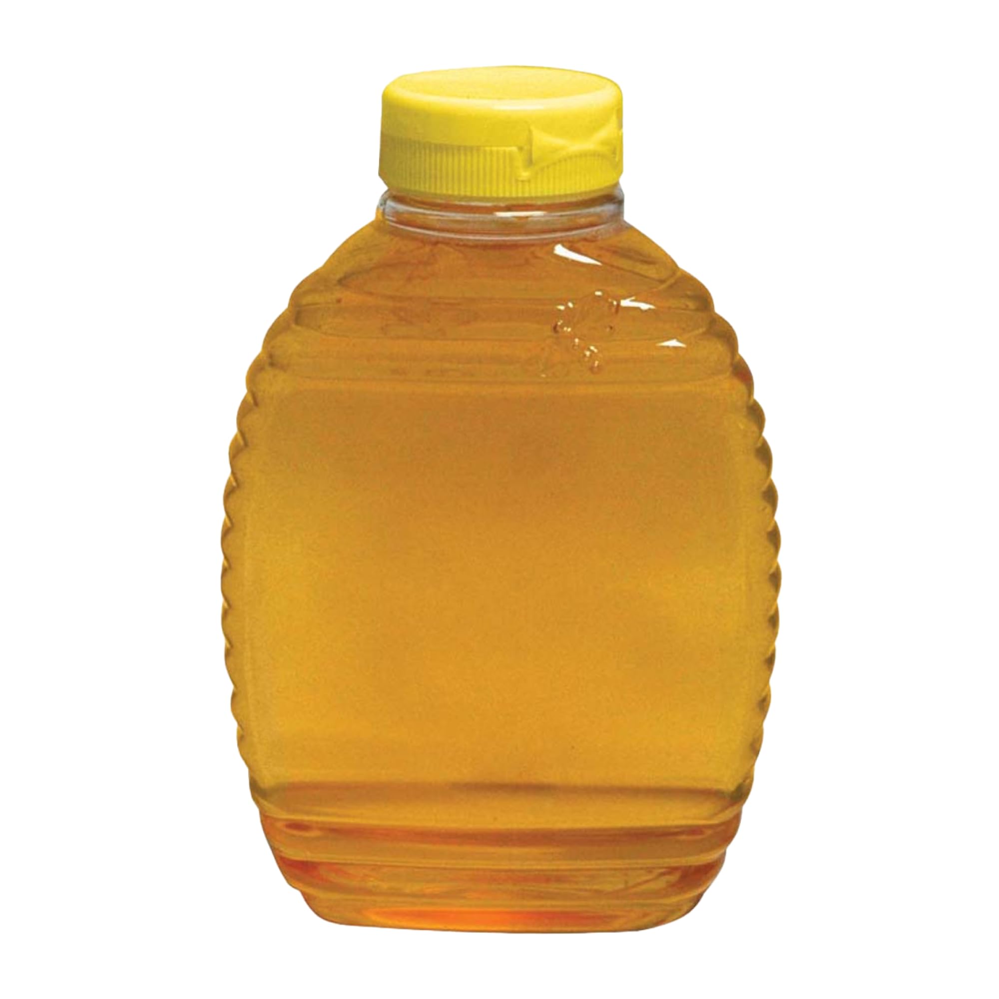 Mann Lake CN537 12-Pack Bee Squeeze Bottle with Yellow Flip Top Lid, 1-Pound