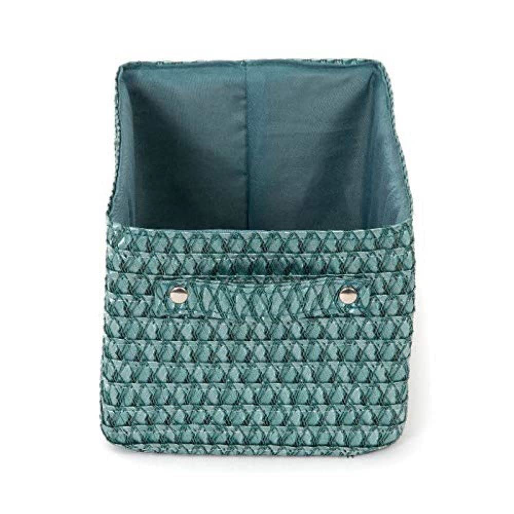 Compactor Lilou Cestino Portaoggetti Con Manici, Tessuto In Polipropilene e Cartone, 23 x 15 x 12 cm, Verde, RAN9699