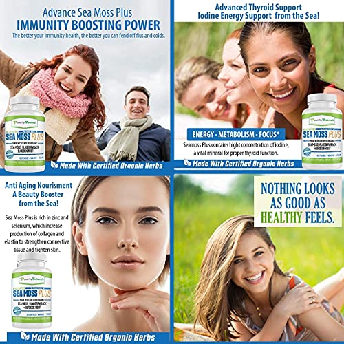 Power By Naturals Certified Organic Sea Moss Plus Supplements With Wildcrafted Irish Sea Moss & High Potency Liquid Vitamin D3 10000 Iu - High Dose Vitamin D - The Sunshine D3 Vitamin Supplement #TOP4