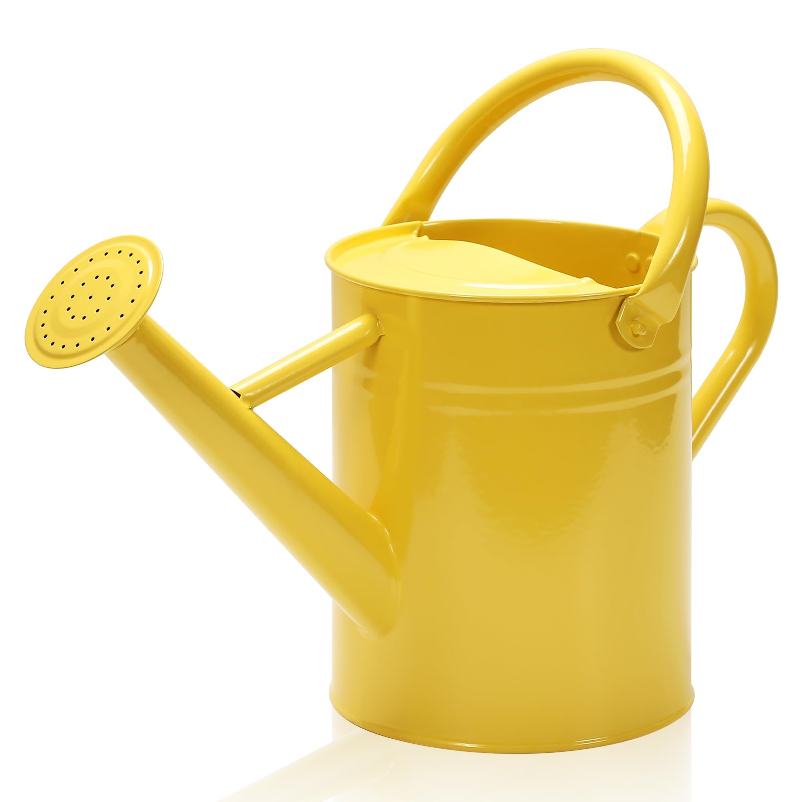 Annaffiatoio in metallo con beccuccio rimovibile, annaffiatoio zincato, perfetto per uso interno ed esterno (1 gallone, giallo)