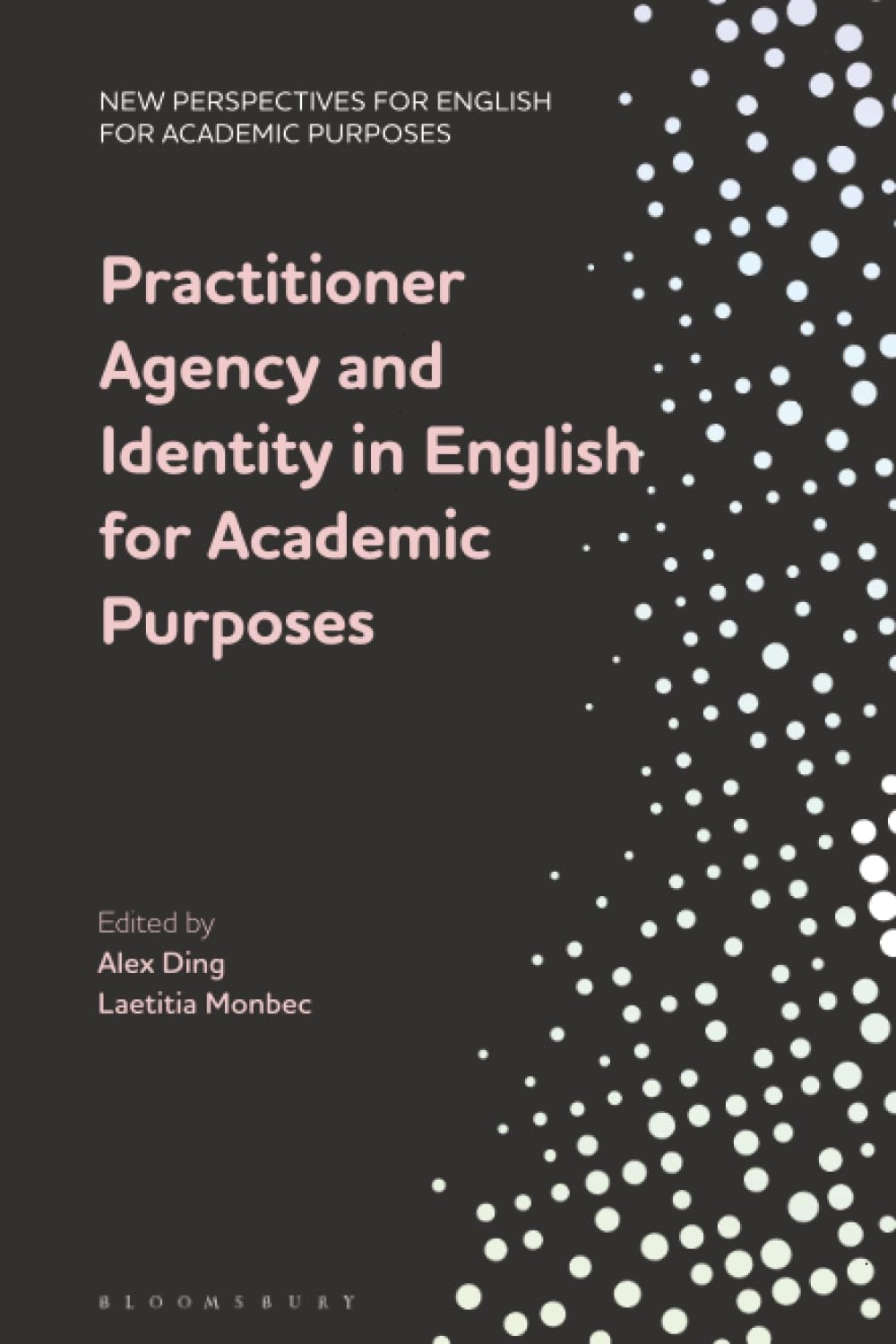 Practitioner Agency and Identity in English for Academic Purposes (New Perspectives for English for Academic Purposes)