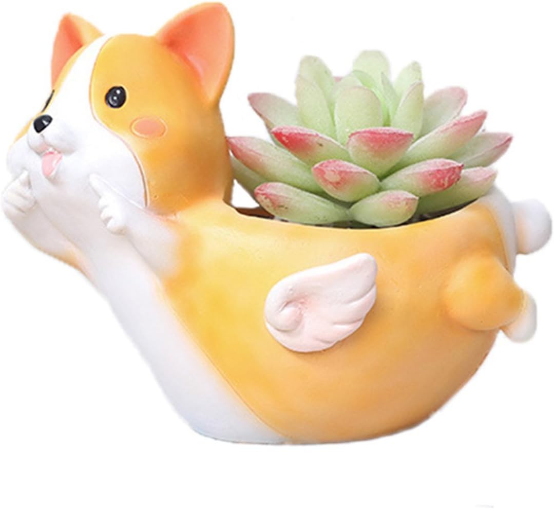 Youfui Home Decor Pot, Animal Succulent Planter Flowerpot for Home Office Desk Decoration (Cute Face Crogi)