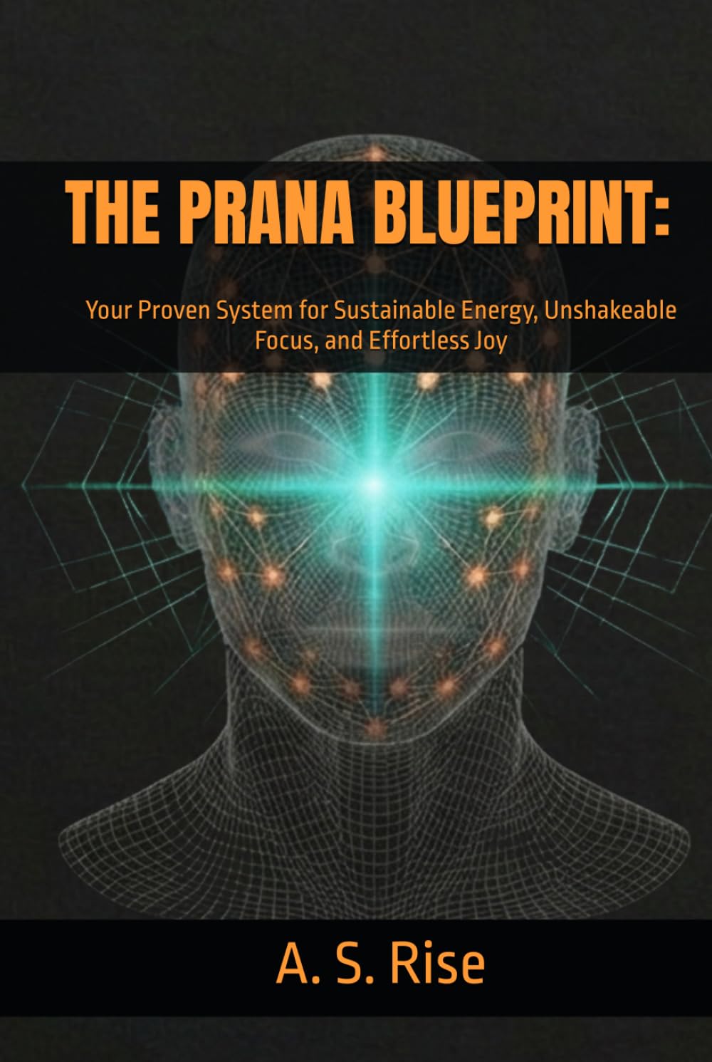 THE PRANA BLUEPRINT: Your Proven System for Sustainable Energy, Unshakeable Focus, and Effortless Joy