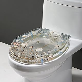 Transparent Resin Toilet Seat 14.17