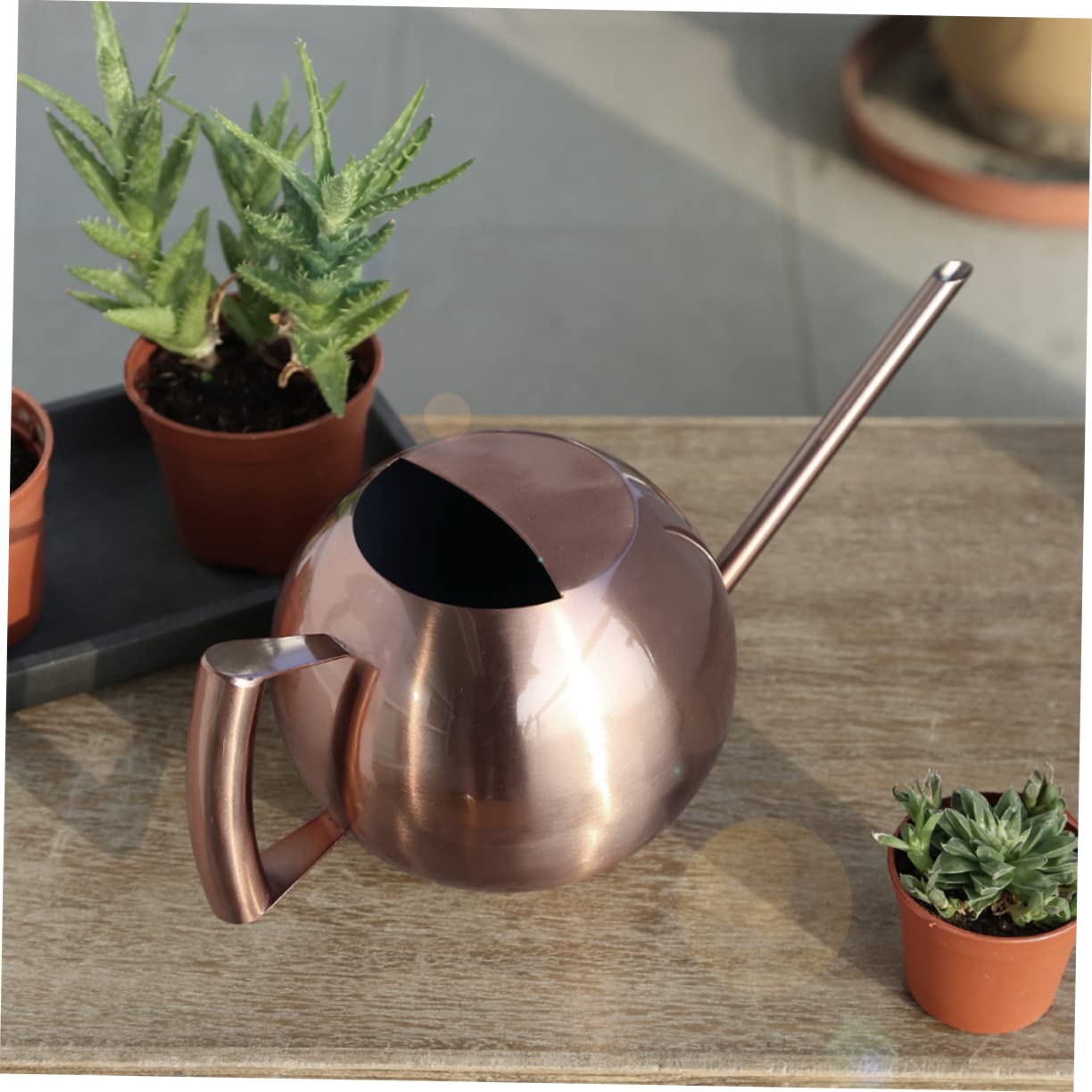 Konewka, Butelka na wodę ze stali nierdzewnej Metalowa konewka Konewka do Bonsai w pomieszczeniach Konewka do Bonsai Konewka do roślin domowych Rośliny Podlewanie zraszacz Czajnik Urządzenie do podlew