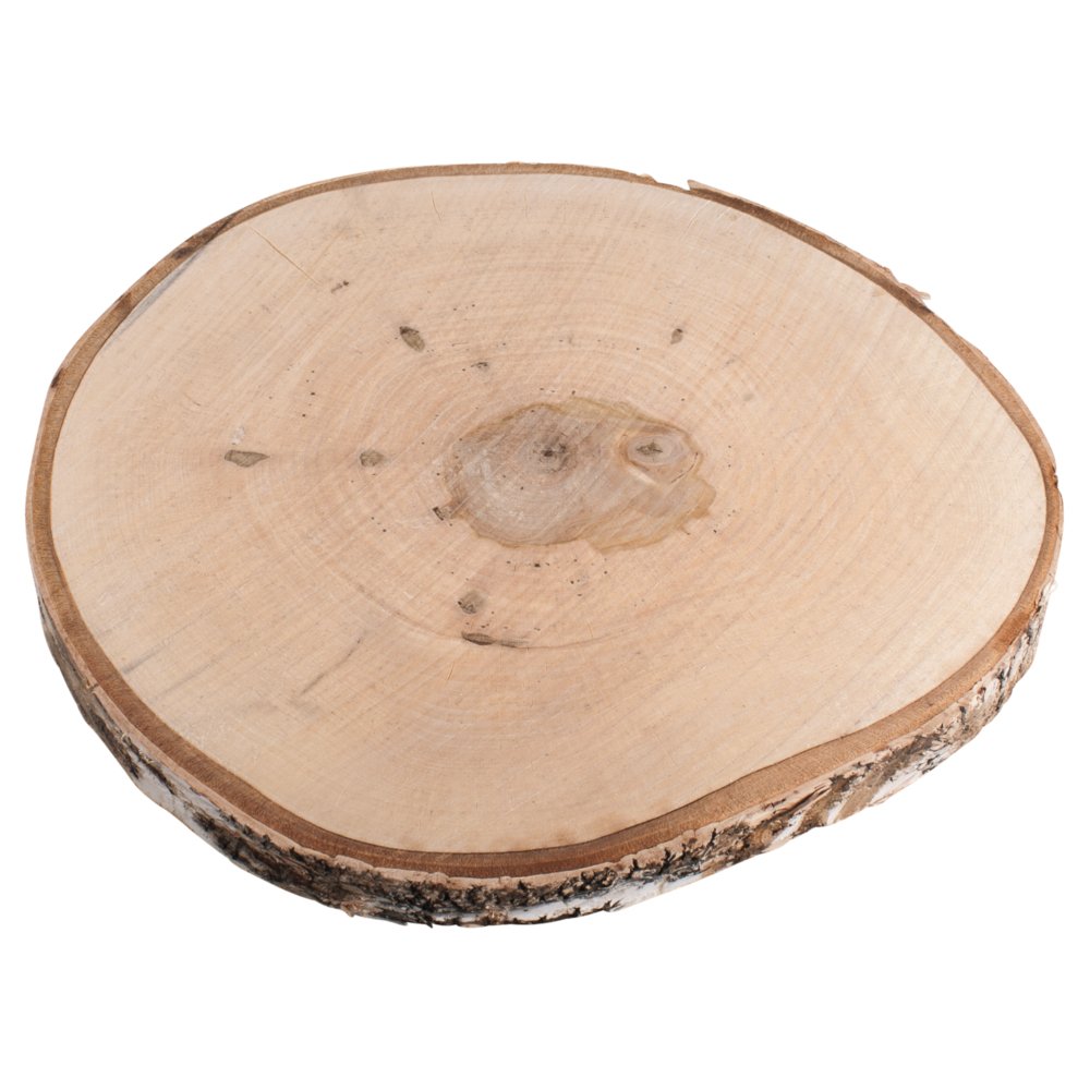 Rayher 55807000 Large Birch Wood Disc with Bark, Natural Round Wooden Tree Log Slice for Crafts, 29-32cm