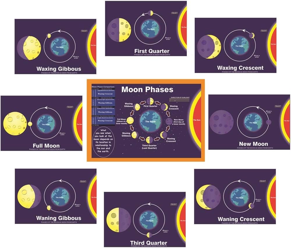 Set of 9 Lamination Moon Phases Charts | Classroom Science Poster | Moon Phase Names and Illustrations | for Teachers, Students, Classroom, Home - Reusable Moon Phases - Measuring 12.2” x 8.6”