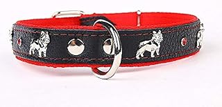K0342 - Collar para Perro con Adornos y Piedras de Cristal de Piel Resistente (Ancho: 30 mm, Longitud: 55 cm), Color Rojo