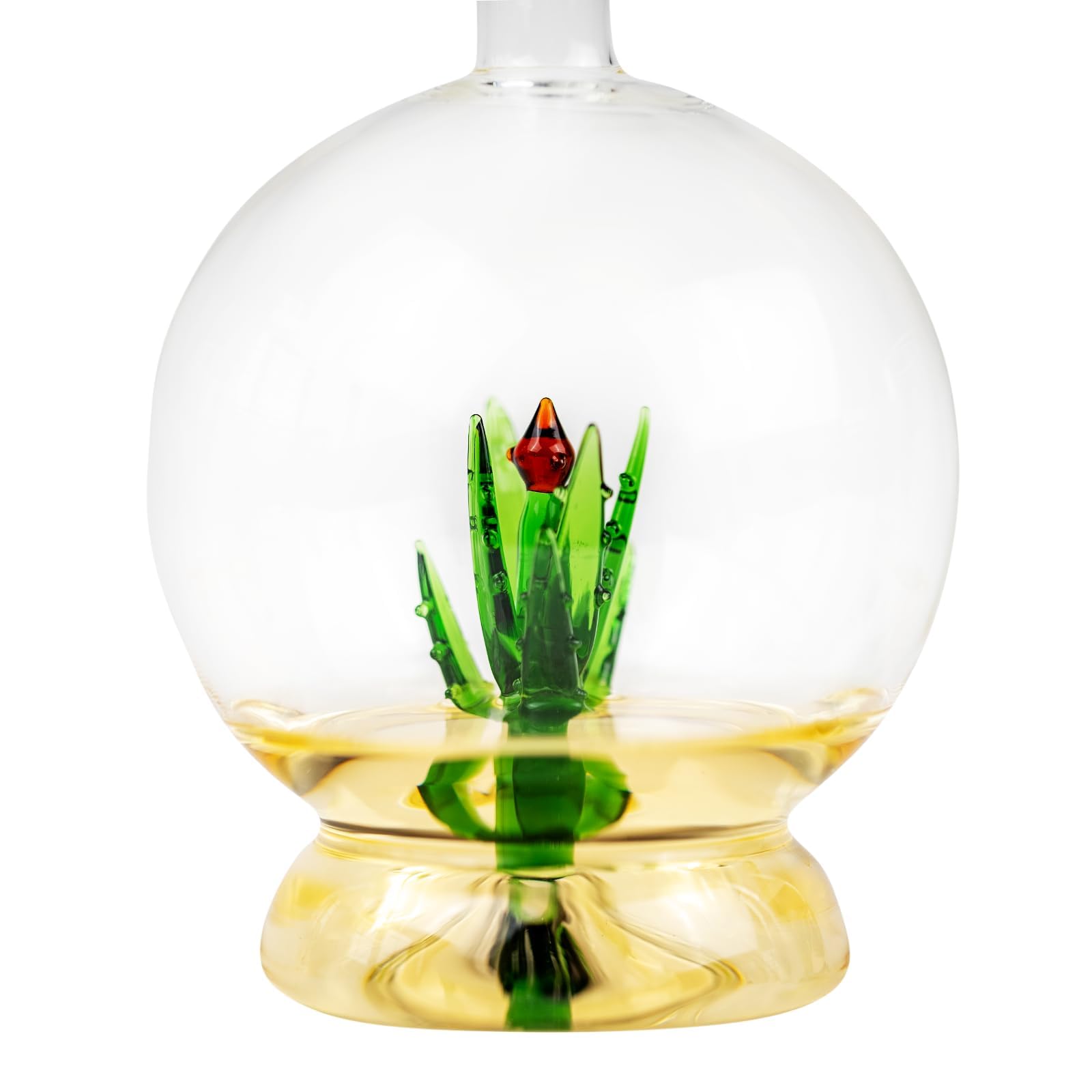 Carafe à décanter à l'aloe vera avec plante d'agave, design rond, carafe en verre parfaite pour bar ou fête à tequila, forme unique, cadeau pour lui, elle, décoration d'intérieur – Grande bouteille de