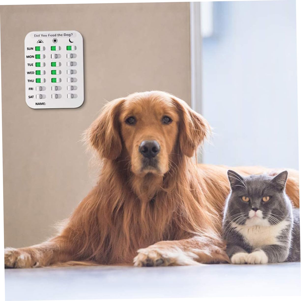 Hemoton Pet Feeding Recorder Matter Recorder for Timing Record Reminding Tool for Kids Elderly