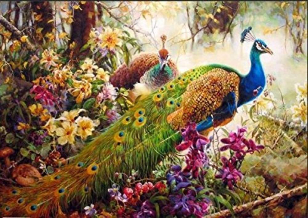 YEESAM ART Paint by Numbers for Adults Kids, Peacock Flowers Forest 16x20 Inch Linen Canvas Acrylic DIY Number Painting Kits Wall Art Decor Gifts (Framed)