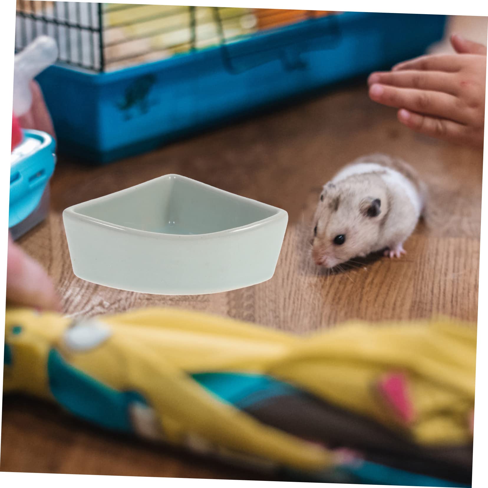 Hemobllo 1pezzi Ciotola in Ceramica Per Cibo Per Criceti Ricci e Volanti Ciotola Per Cibo Resistente Alla Masticazione Base Pesante Per Piccoli Animali Domestici