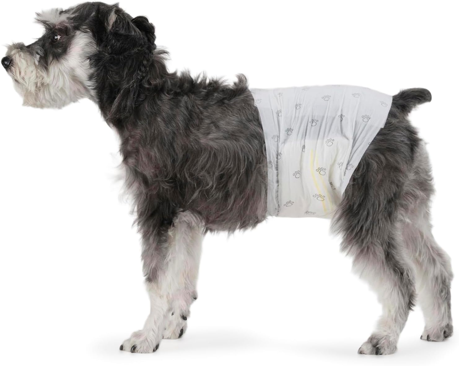 Amazon Basics Male Dog Diapers