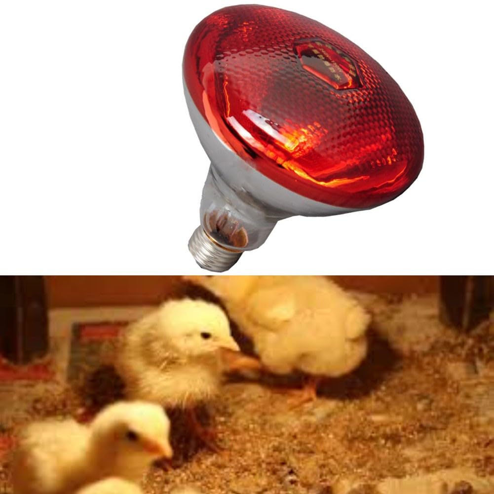 Red Infrared Heat Lamp,for Chickens,Brooders & Reptiles – 110V E27 Base Incandescent Bulb with Quartz Glass,5000-Hour Lifespan(Red Saffron 175W) — view 9