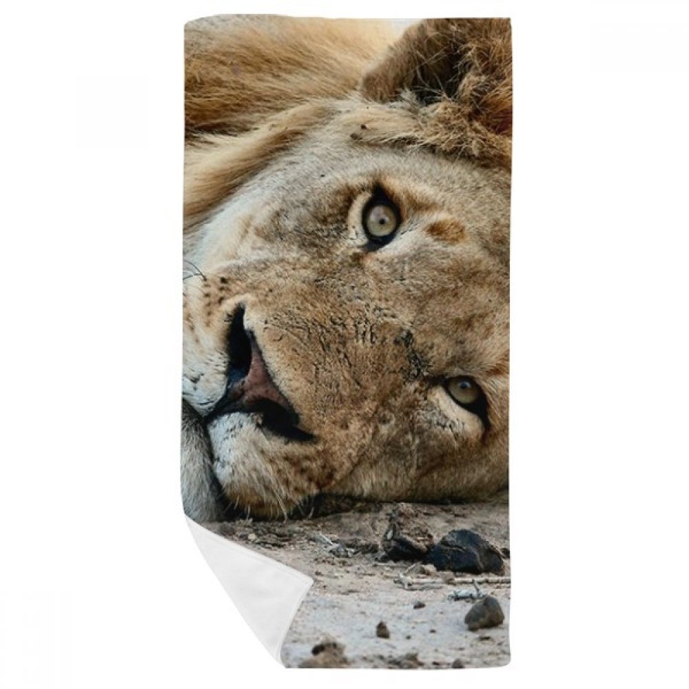 Gant de toilette serviette de bain lion 35x70cm animal sauvage multicolore