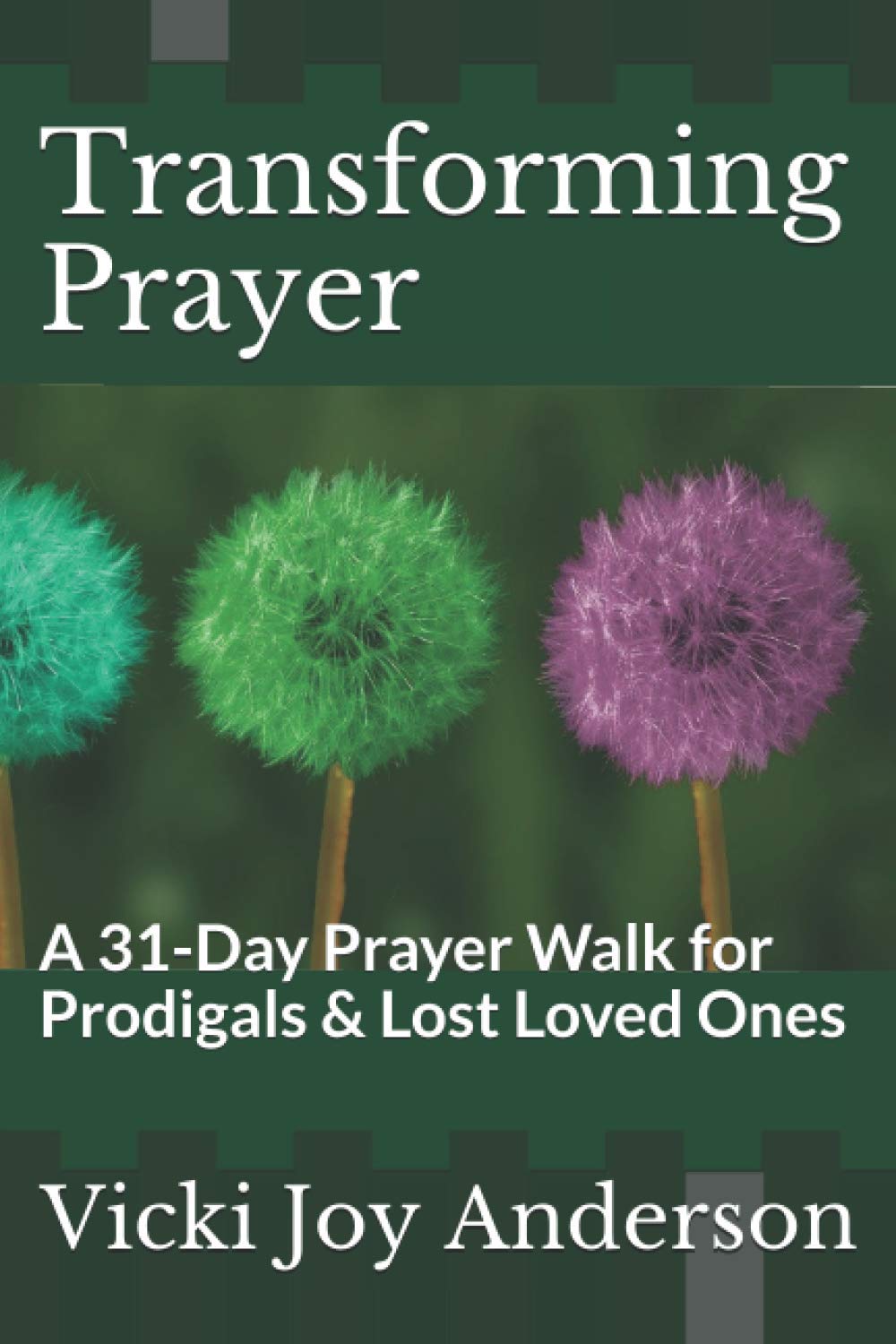 Transforming Prayer: A 31-Day Prayer Walk for Prodigals & Lost Loved Ones