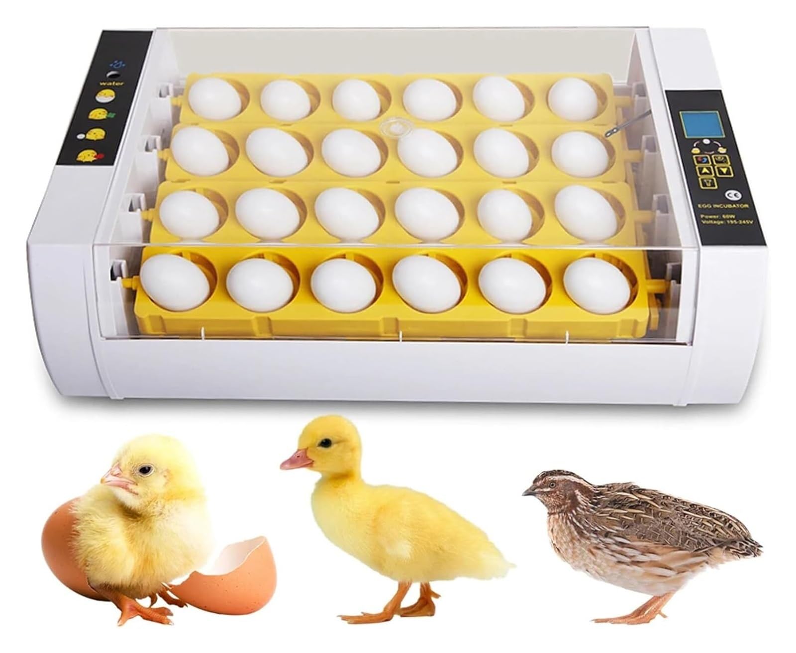 Inkubator do jaj, automatyczny inkubator, automatyczny inkubator dla drobiu z automatyczną kontrolą temperatury, do inkubacji kurcząt, gęsi i kaczek.(110V)