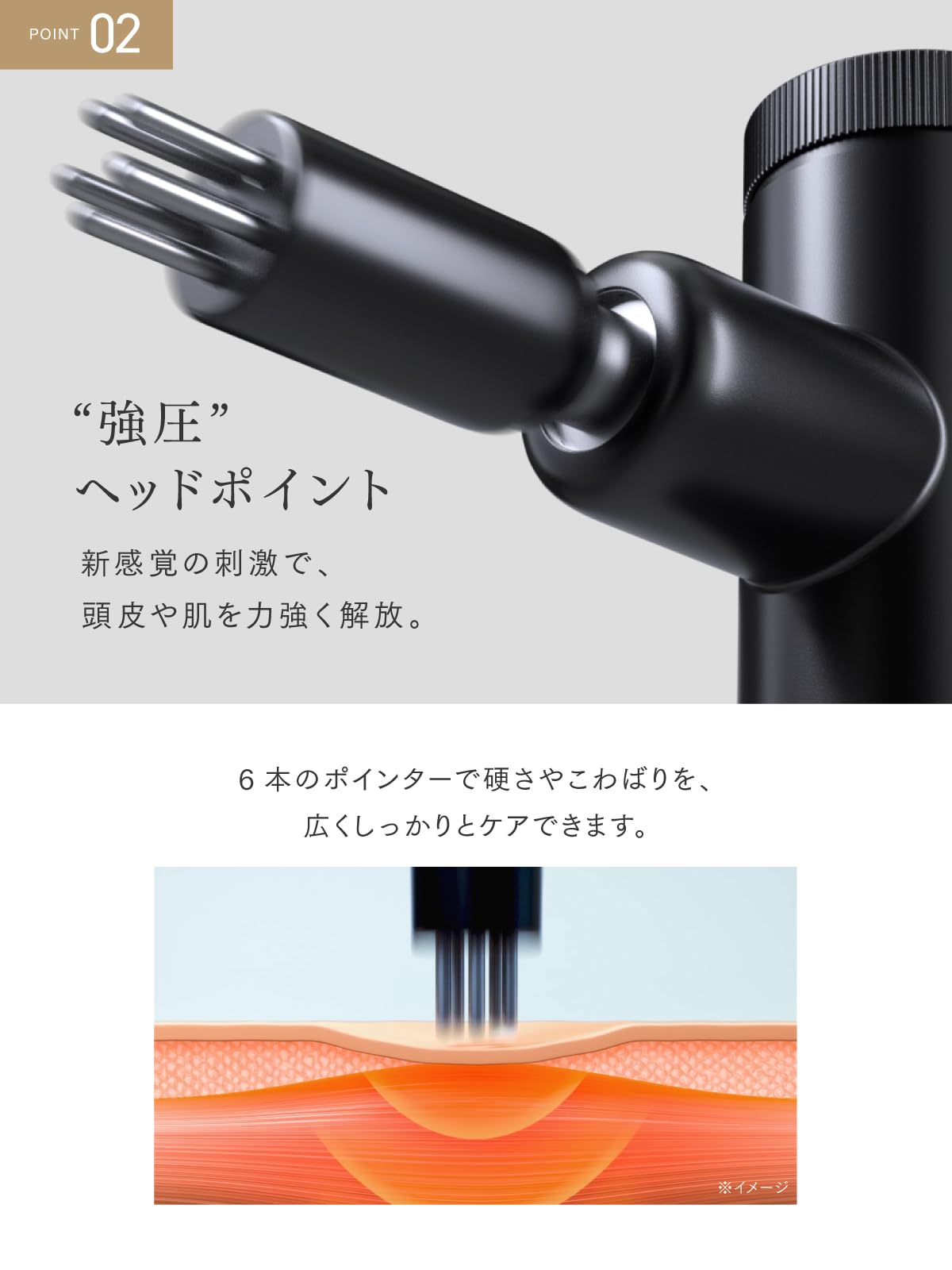 Amazon.co.jp: MYTREX REBIVE LIFT POINTER Face Point Facial
