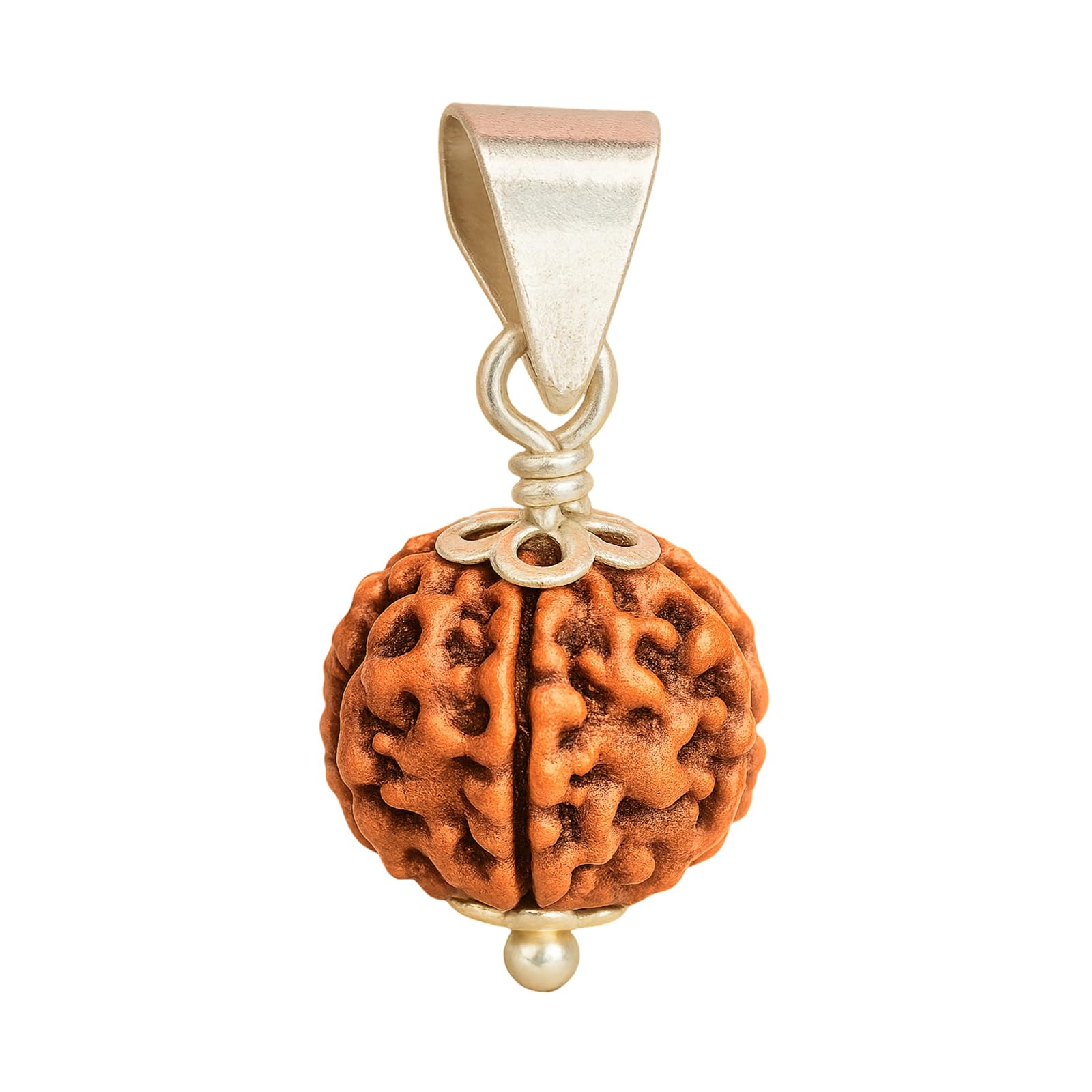 5 Mukhi Rudraksha Original Certified Pure Silver Astrological Round PanchMukhi Rudraksha for Men and Women