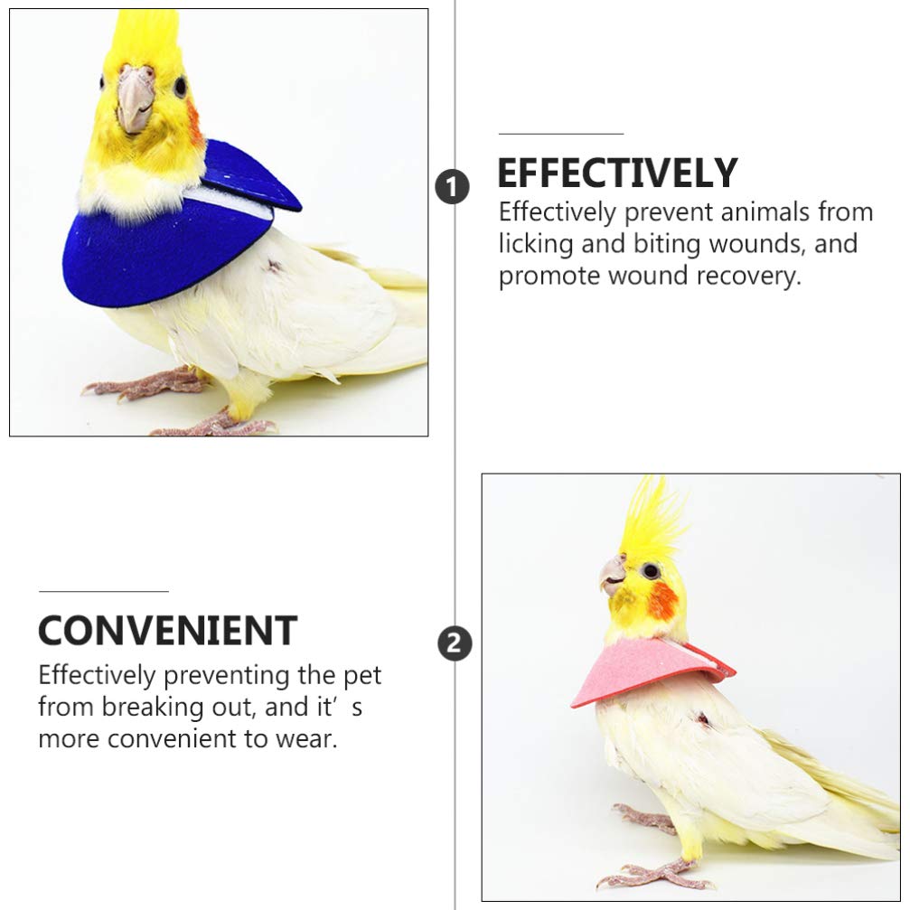 ULTECHNOVO Collar De Recuperación para Pájaros Pequeños Ajustable Anti Mordeduras Y Anti Lamidos para Loros Protector De Cuello para Cuidado Y Recuperación De Lesiones 4 Piezas