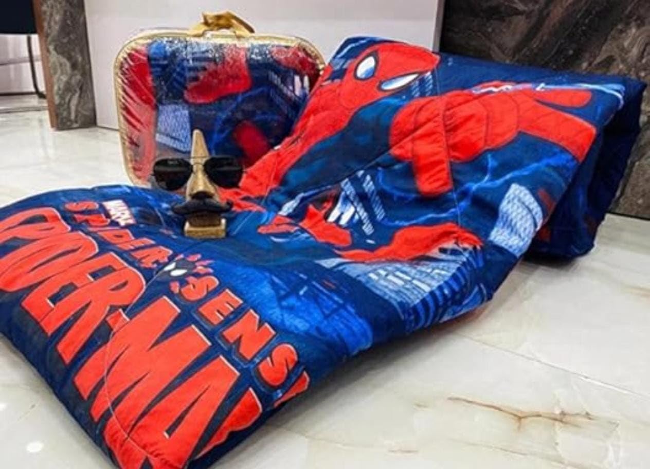 Single Bed Teens Comforter, Spider Color | For Kids-image-28