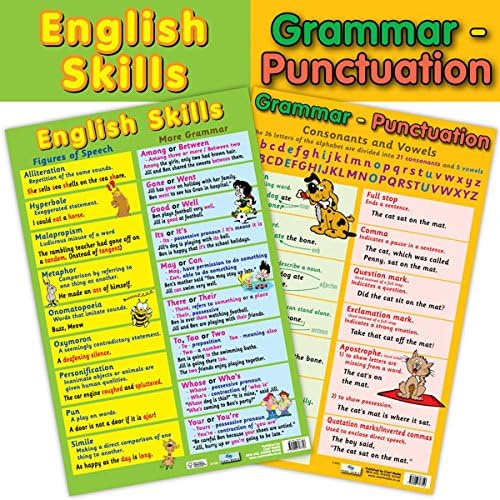 English Literacy Skills and Grammar, Punctuation 2 in 1 Educational Poster/Learning Chart