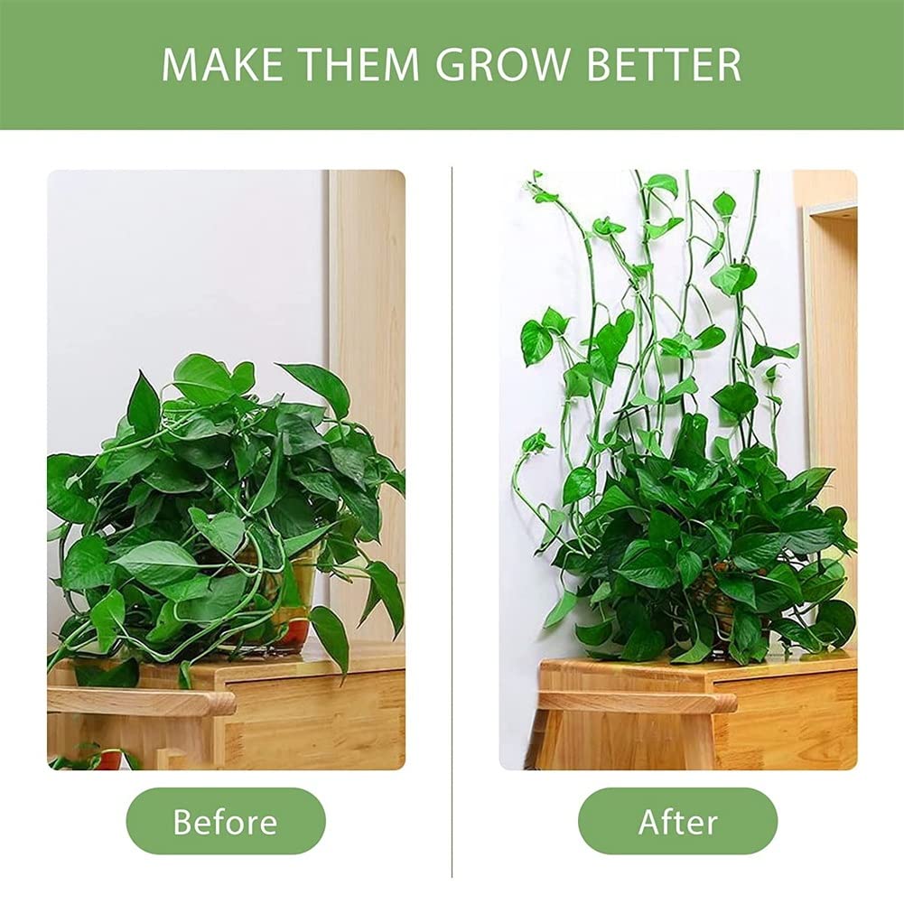 Clip Supporto Piante 60 Clips Support Pour Plantes Grimpantes DLPRK - Auto- Adhésifs Blanc Et Vert - Fixation Murale Facile Accroche Adhesif Mural