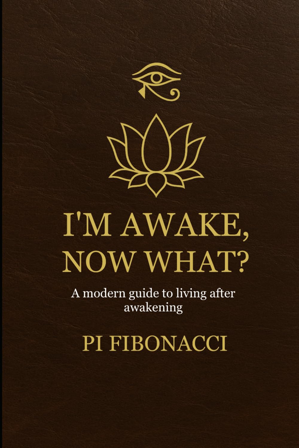 I'm Awake, Now What?: A modern guide to living after awakening