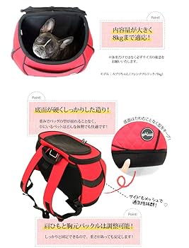 eMus/エミューズ　ペットリュックペットキャリー（ベージュ /M） Amazon | 【eMus/ｴﾐｭｰｽﾞ】ｵﾘｼﾞﾅﾙﾘｭｯｸｷｬﾘｰ (M, ベージュ) | eMus