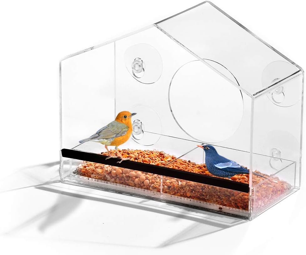 Ashman Window Bird Feeders. (Deluxe, 1 Pack)