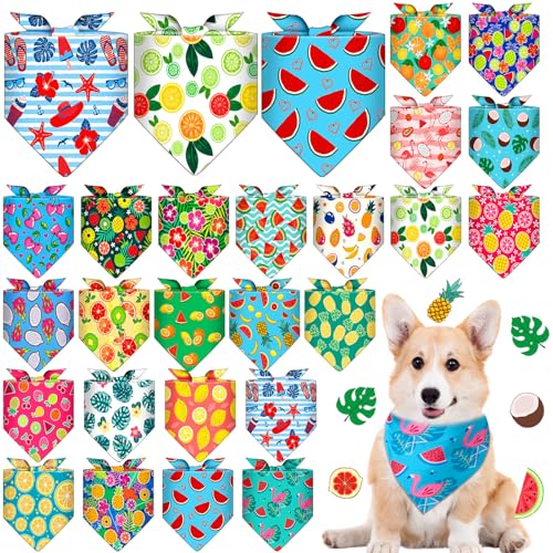 Sanwuta 24 po_i oN Op` pXJ[t ru t[c p^[ L o_i j̎qƏ̎q T}[XJ[t   ybg T}[p[eB[ LOi ybgRX`[ANZT[