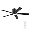 WINGBO 52" DC Flush Mount Ceiling Fan with Lights, 5 Plywood Blades, 6-Speed Reversible DC Motor, 3CCT, Low Profile Hugger Ceiling Fan for Living Room Bedroom Kitchen, Black and Brass