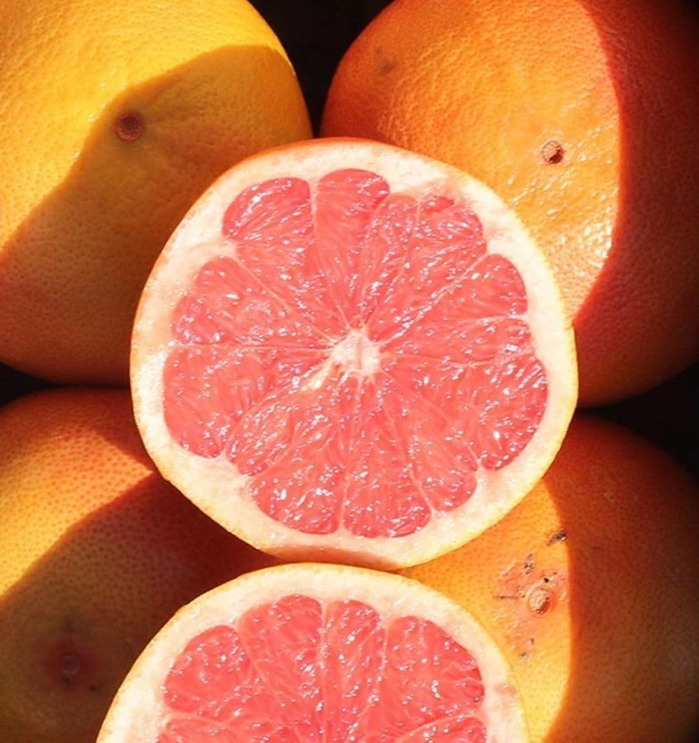 Pomelos caja 4 kg | Comprar Pomelos frescos de producción local en Castellón (España). Directos del agricultor, cultivo sostenible sin químicos ni pesticidas
