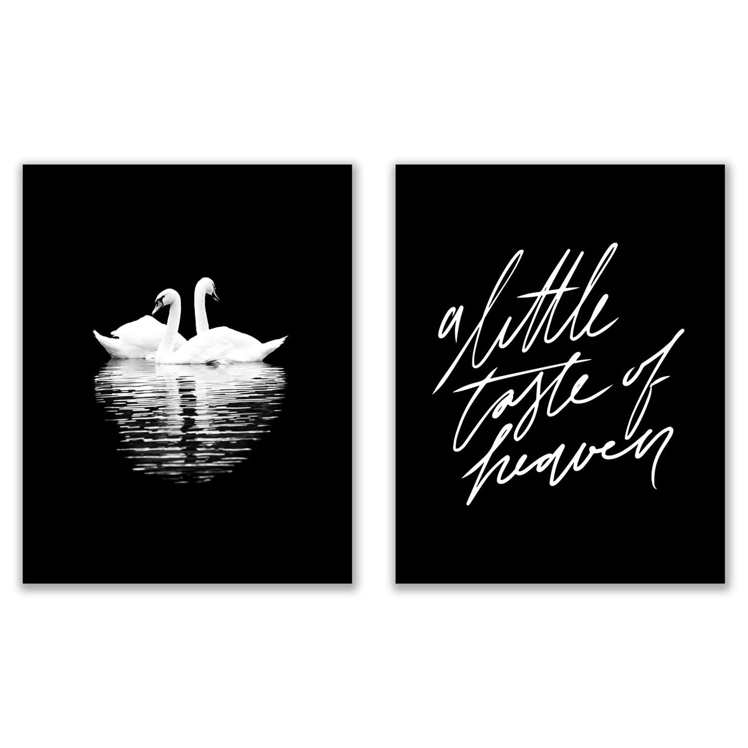 モノクロ写真作品「白鳥」A3サイズ アート インテリア モノクロ写真作品「白鳥」A3サイズ アート インテリア